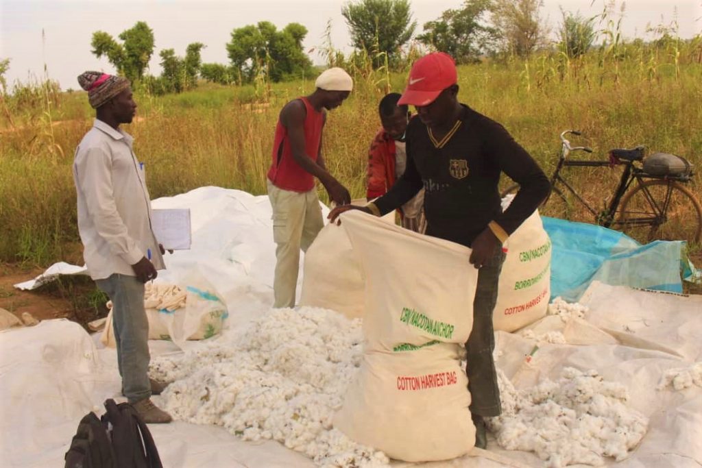 cotton-farmers-target-300000mt-2021