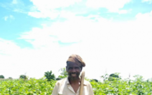 meet-farmer-who-changed-his-life-through-cotton-farming